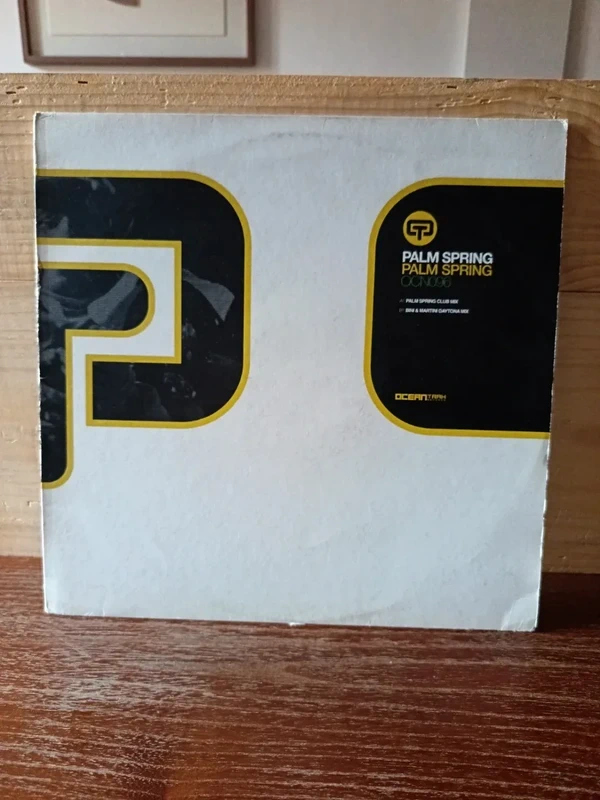 Vinyle electro house Palm spring Boris blank