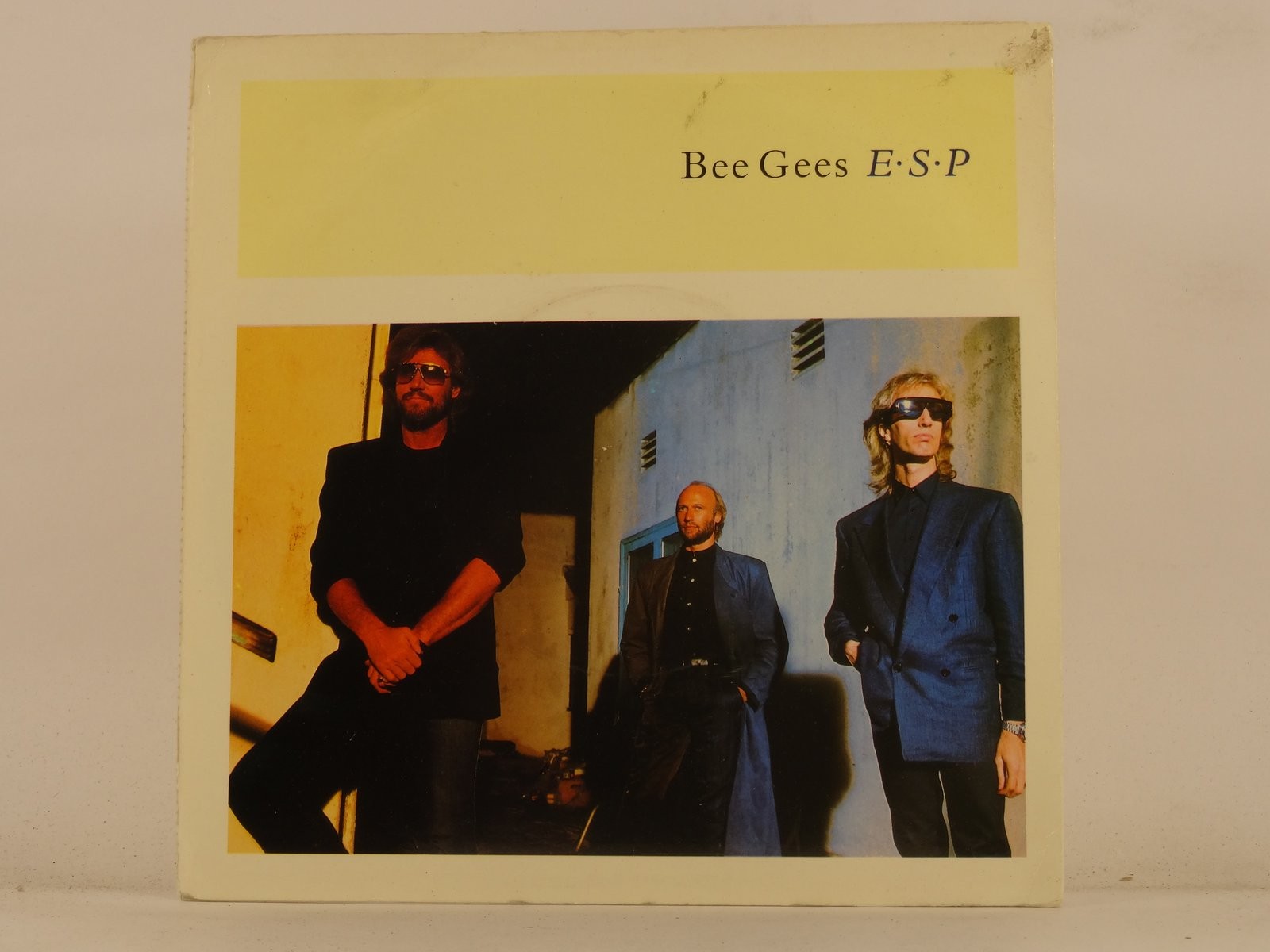 BEE GEES ESP (137) 7" WB