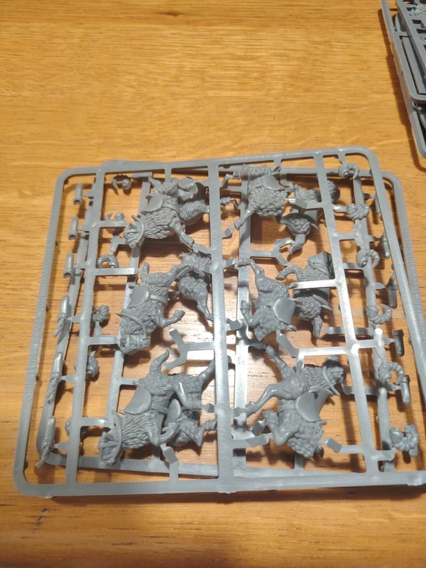 Lotto Nani Fireforge Games