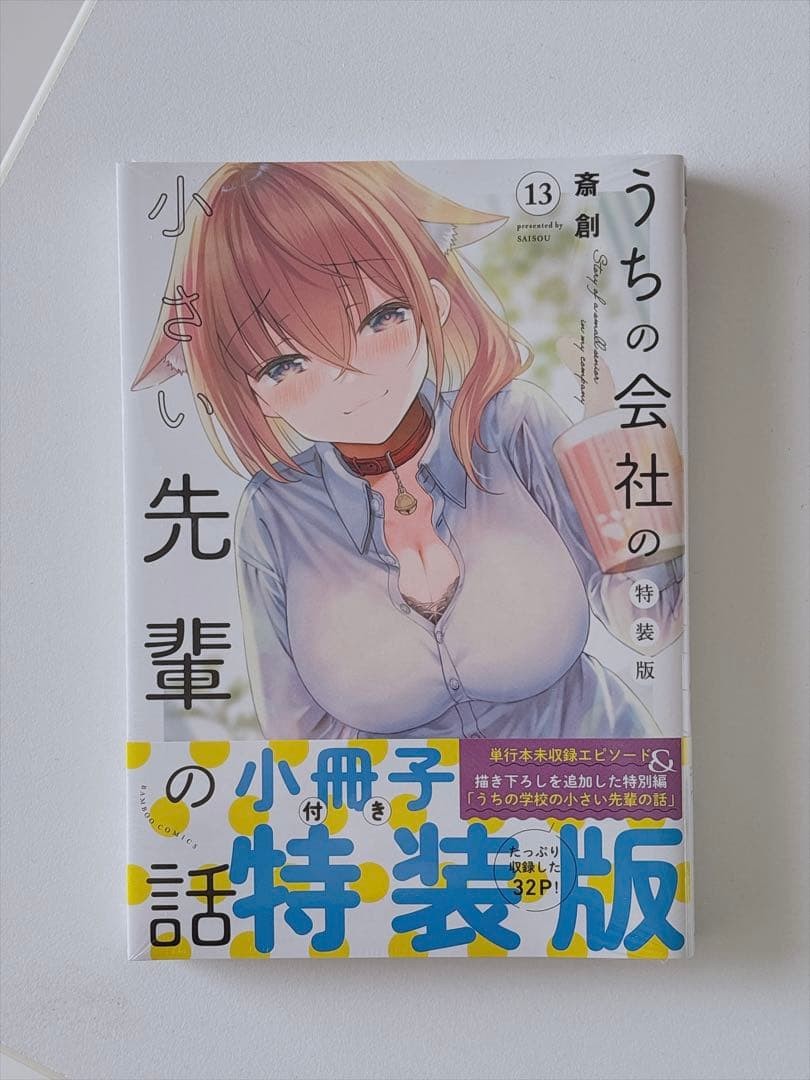 Storia di un piccolo anziano nella mia compagnia vol. 13 Edizione Speciale