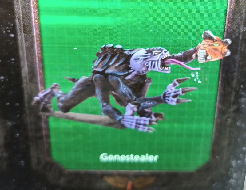 Geneasteler Space Hulk au sol 8