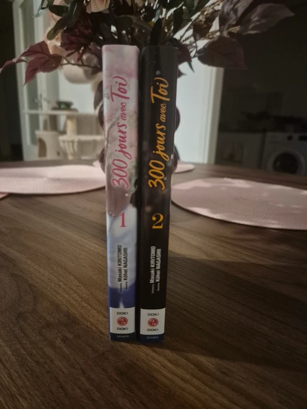 Manga 300 jours avec toi