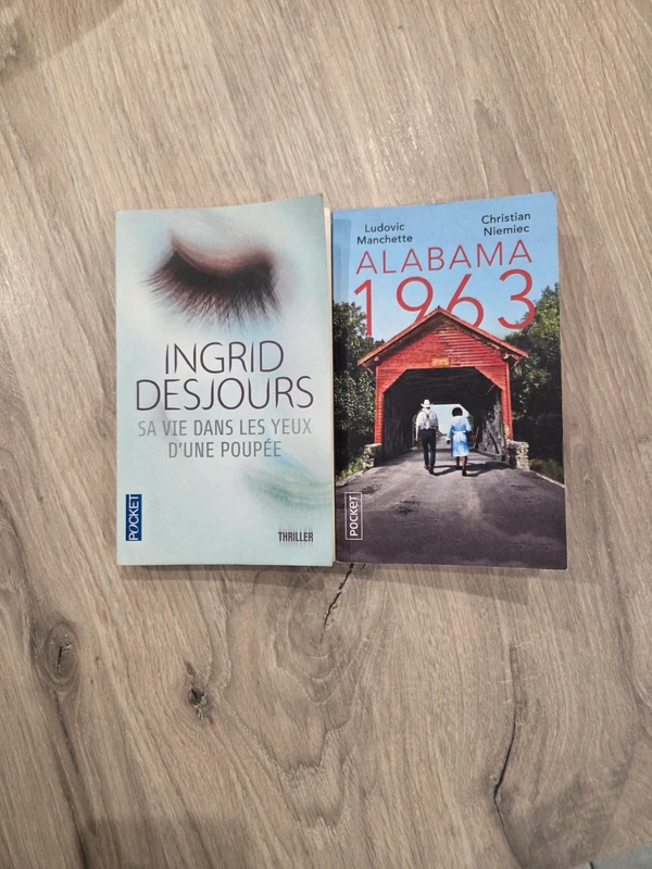 Lot 2 thrillers 💔