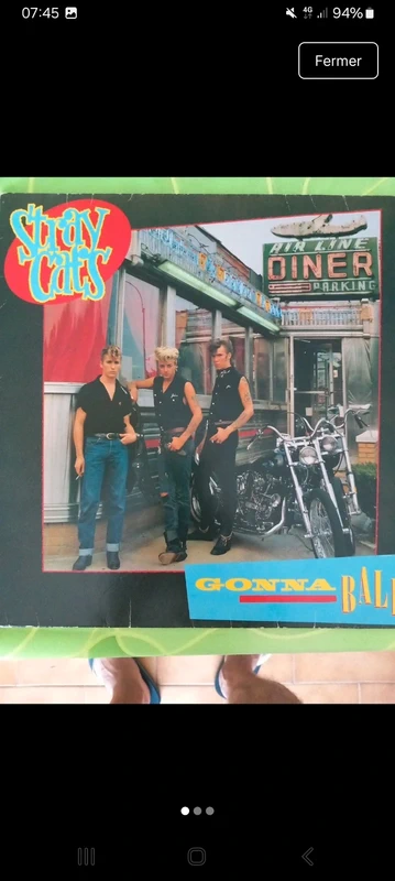 Vinyle Stray cats
