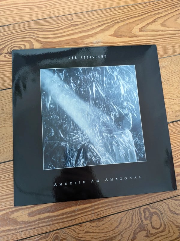 Der Assistent – Amnesie Am Amazonas / Downtempo Vinyl LP