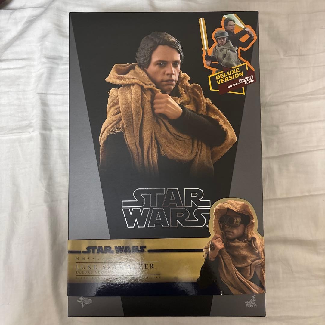 Hot Toys Star Wars Luke Endor DX 900385