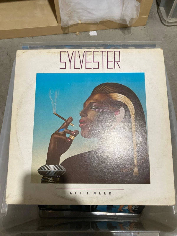 Disco Lp Sylvester