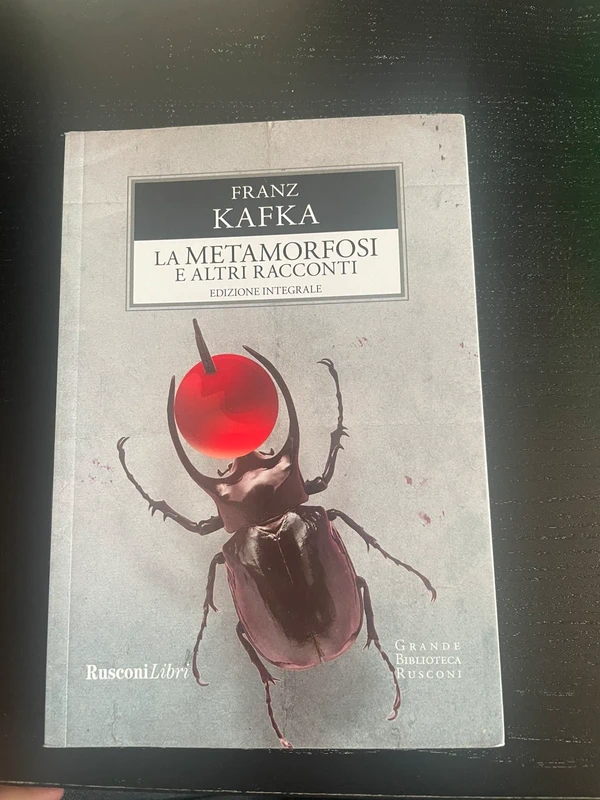 La metamorfosi di franz kafka