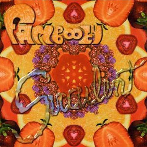 Succulente ~ Fambooey CD