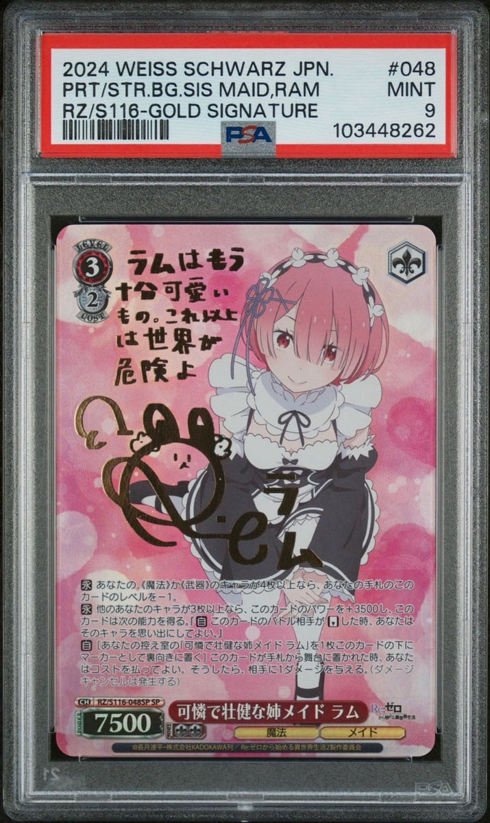 Ram sorella maggiore bianca nera graziosa e robusta SP RZ/S116-048SP PSA 9 JP