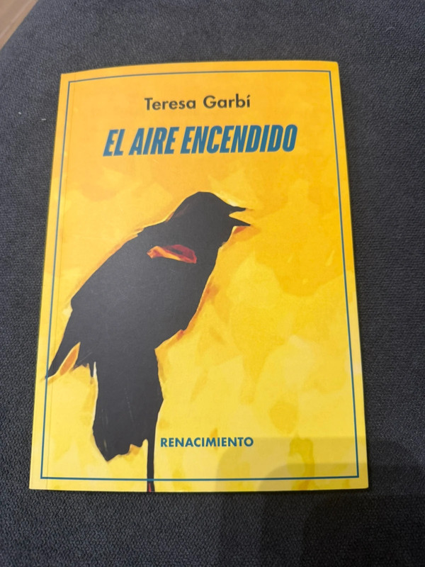 El aire encendido - Teresa Garbí