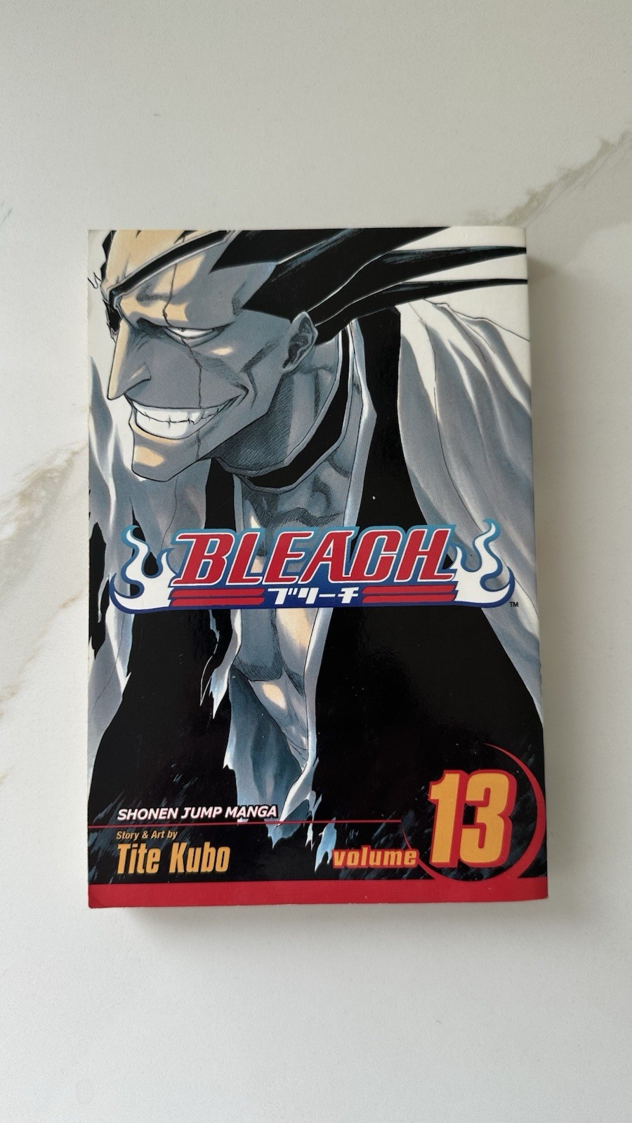 Bleach Manga Vol. 13