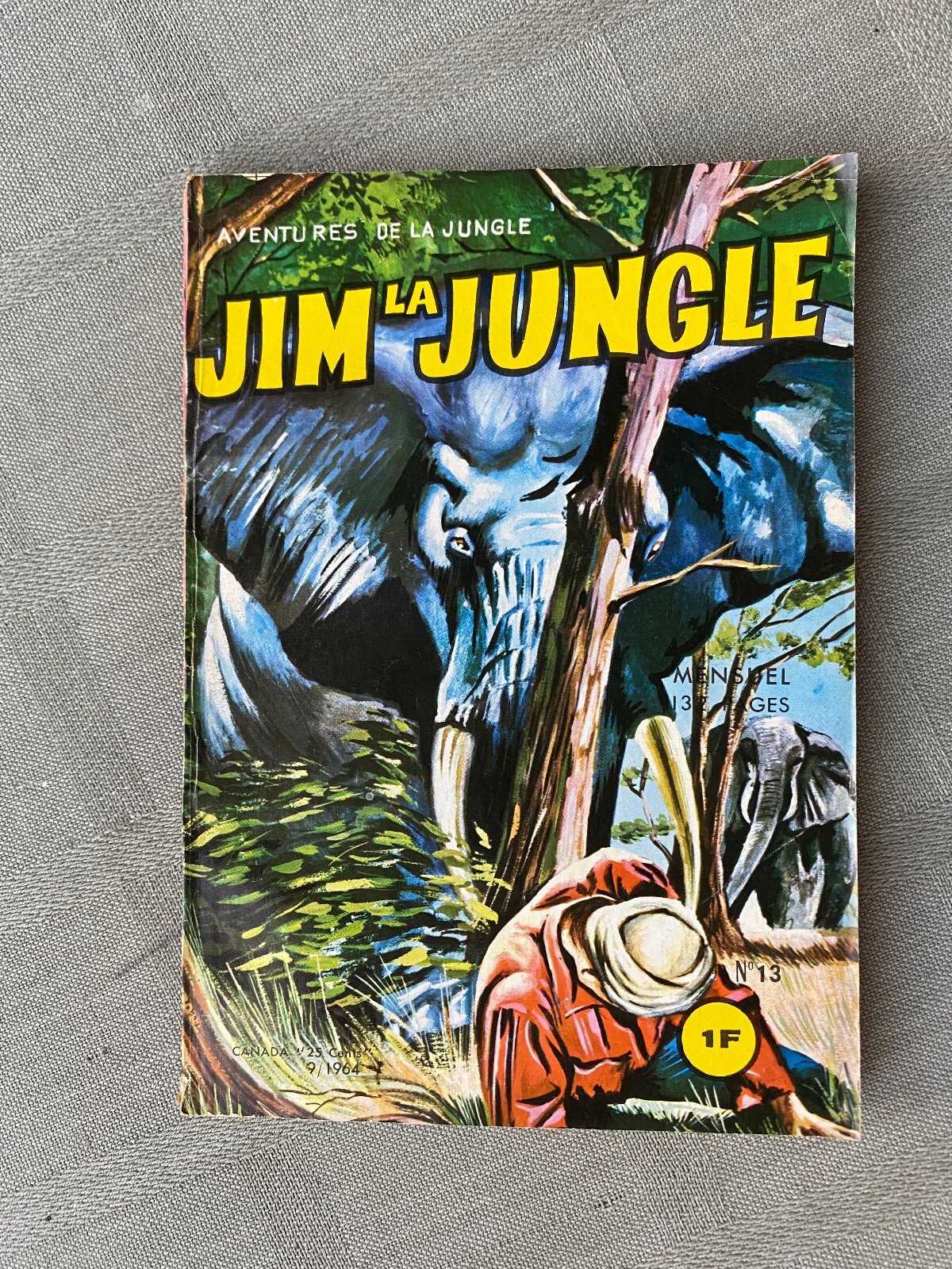 Jim La Jungle N°13 I Pirati Moderni Edi-Europ 1964 In Buone Condizioni