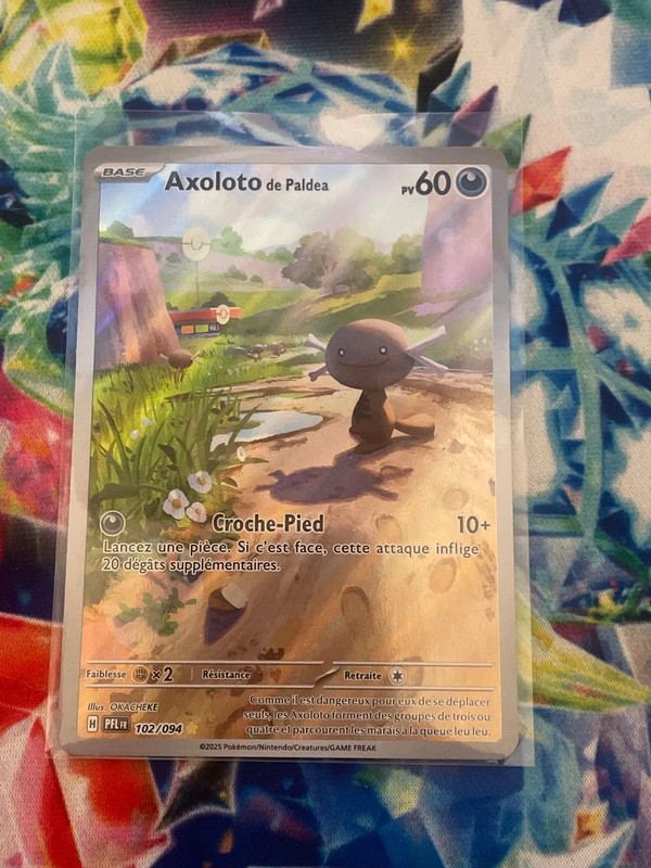 Axoloto de paldea AR Me02