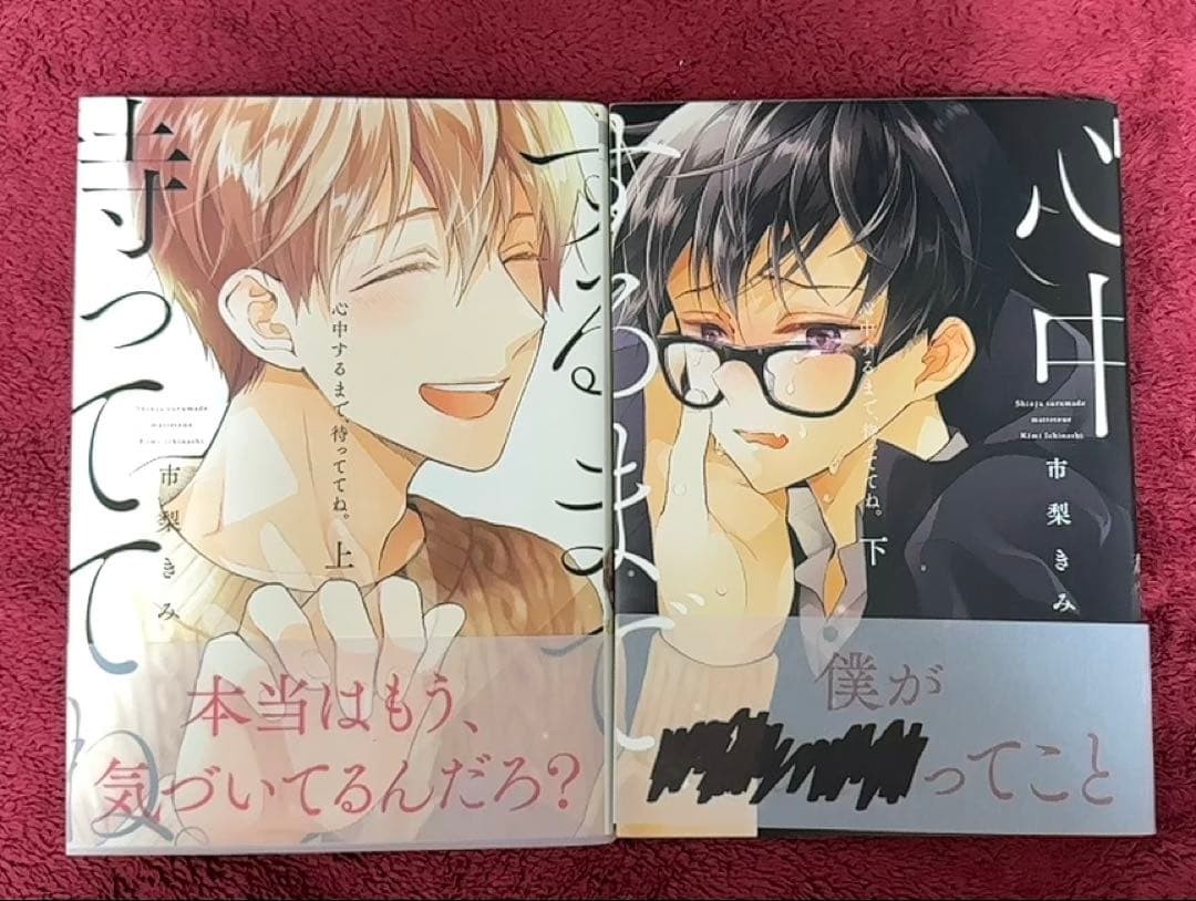Wait Until You'Re In The Heart Of Bl Manga, Set di volumi superiori e inferiori, Rikimi 