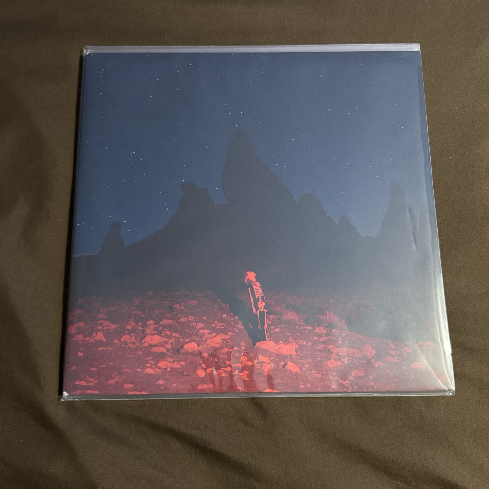 Phoebe Bridgers Punisher 2020 Indie Exclusive Merlot Wave Vinyl LP