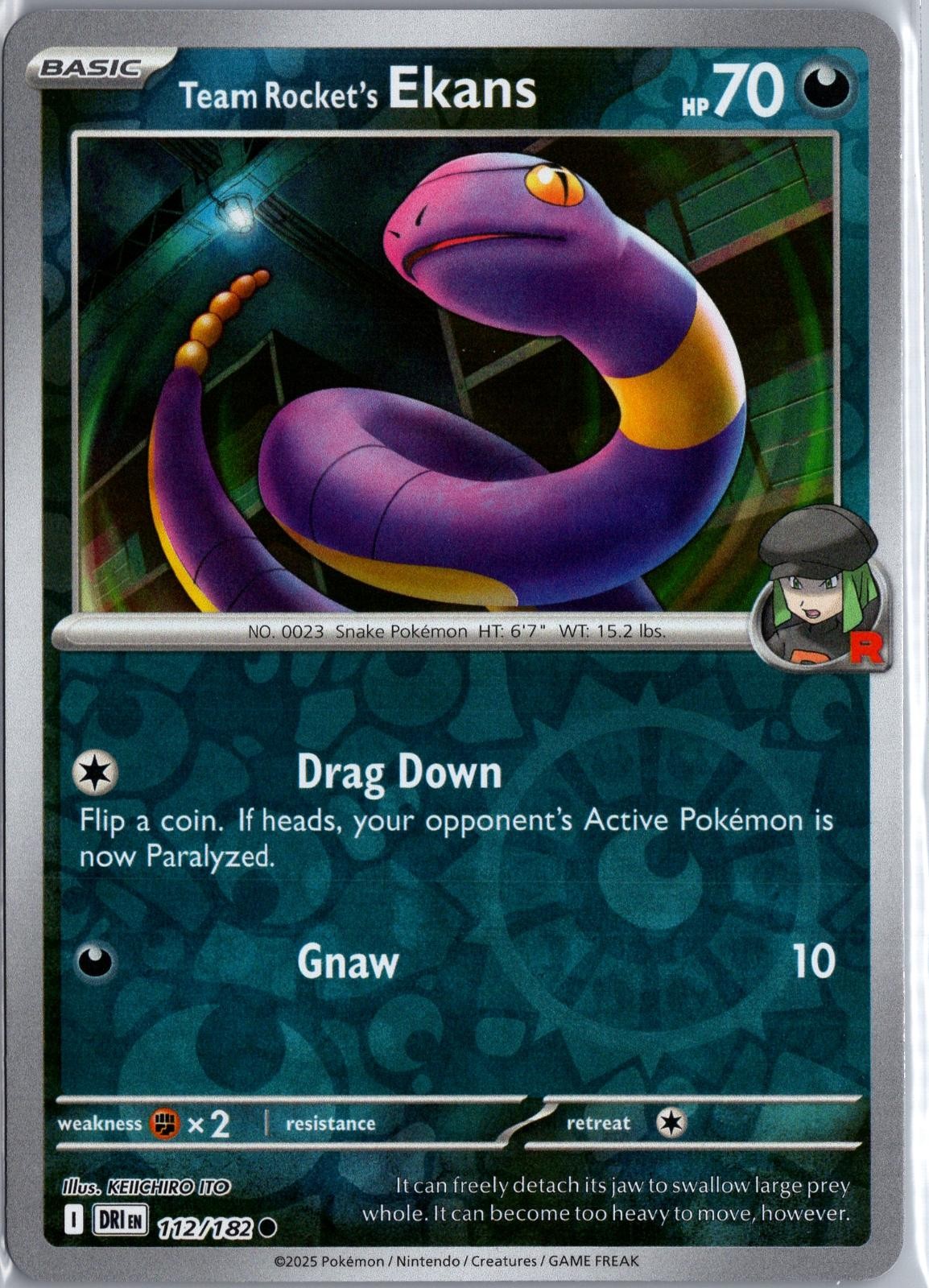 Team Rocket's Ekans 112/182 Rivali Destinati Comuni Pokemon Reverse Holo LP