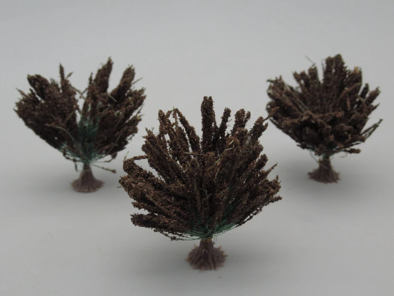 3 plantes à plumeaux marron foncé 4.5 cm