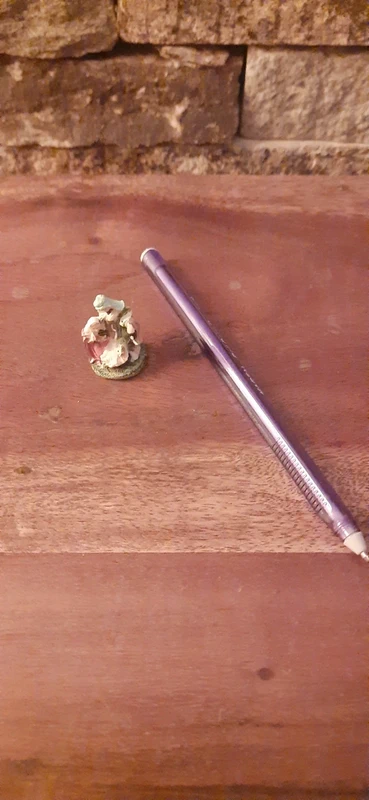 Micro Natività