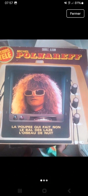 Vinyle Michel polnareff