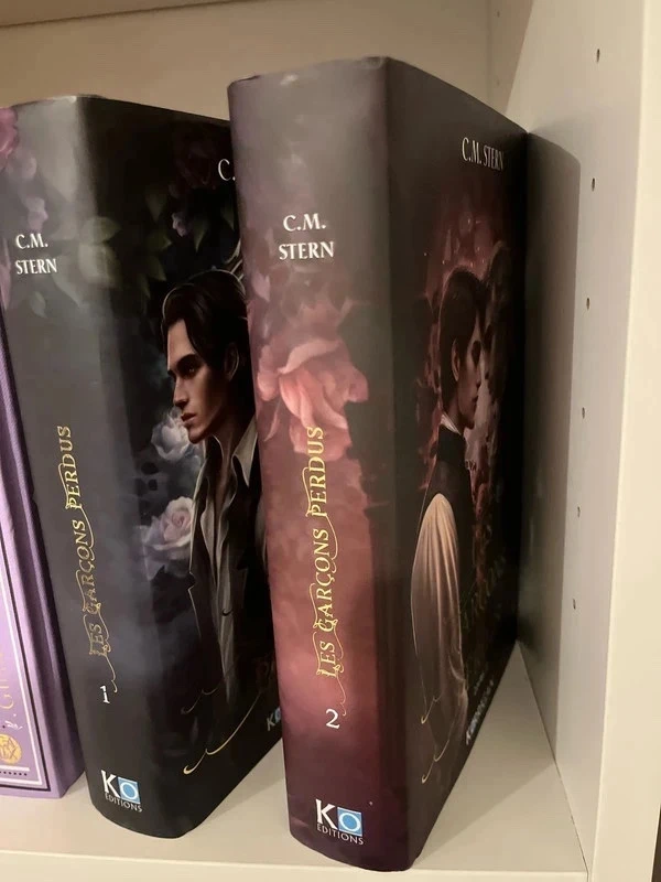 Les garçons perdus tomes 1 et 2