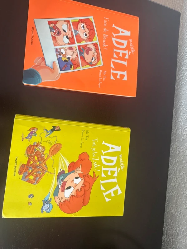Lot 2 livres « mortelle Adele »