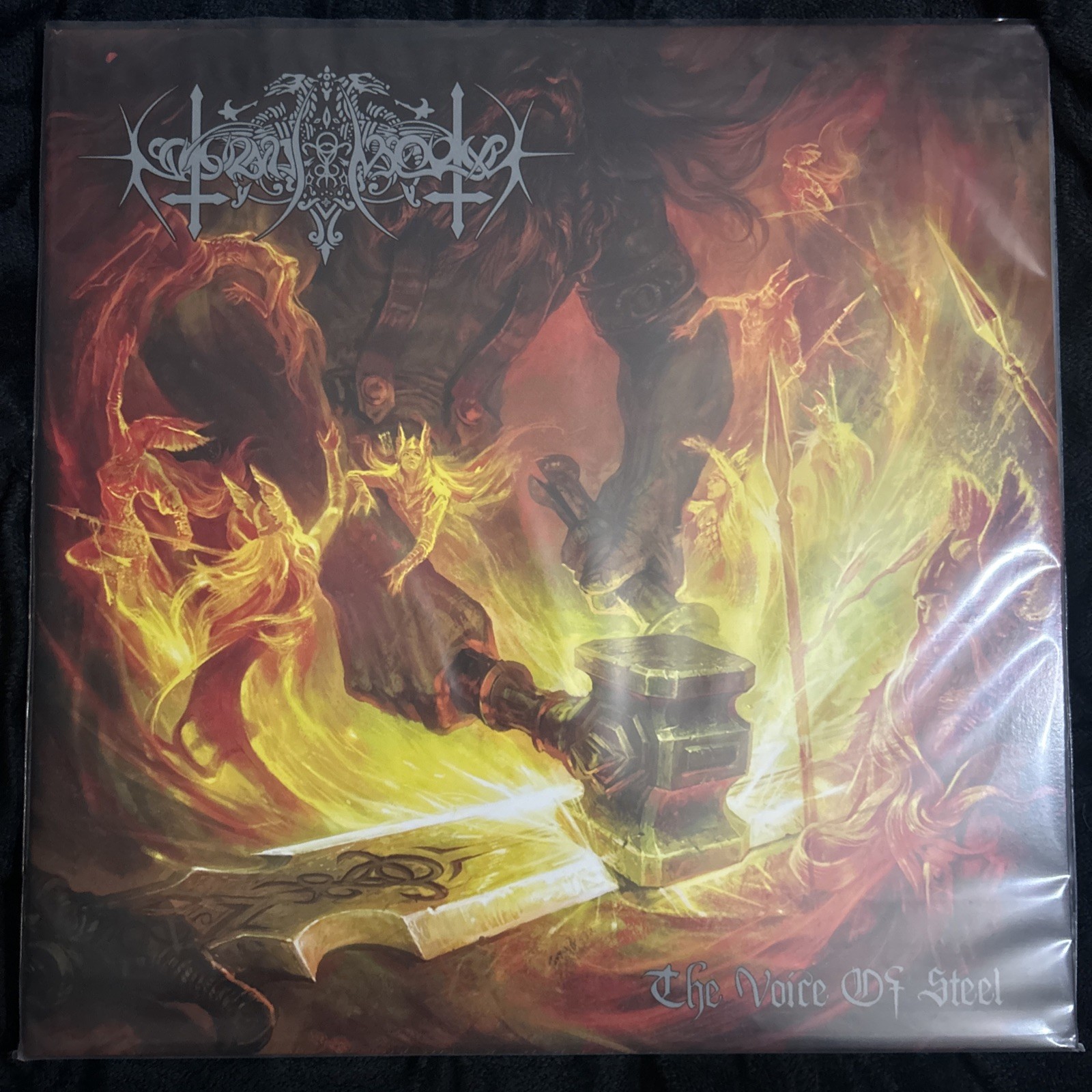 Nokturnal Mortem The Voice Of Steel lp