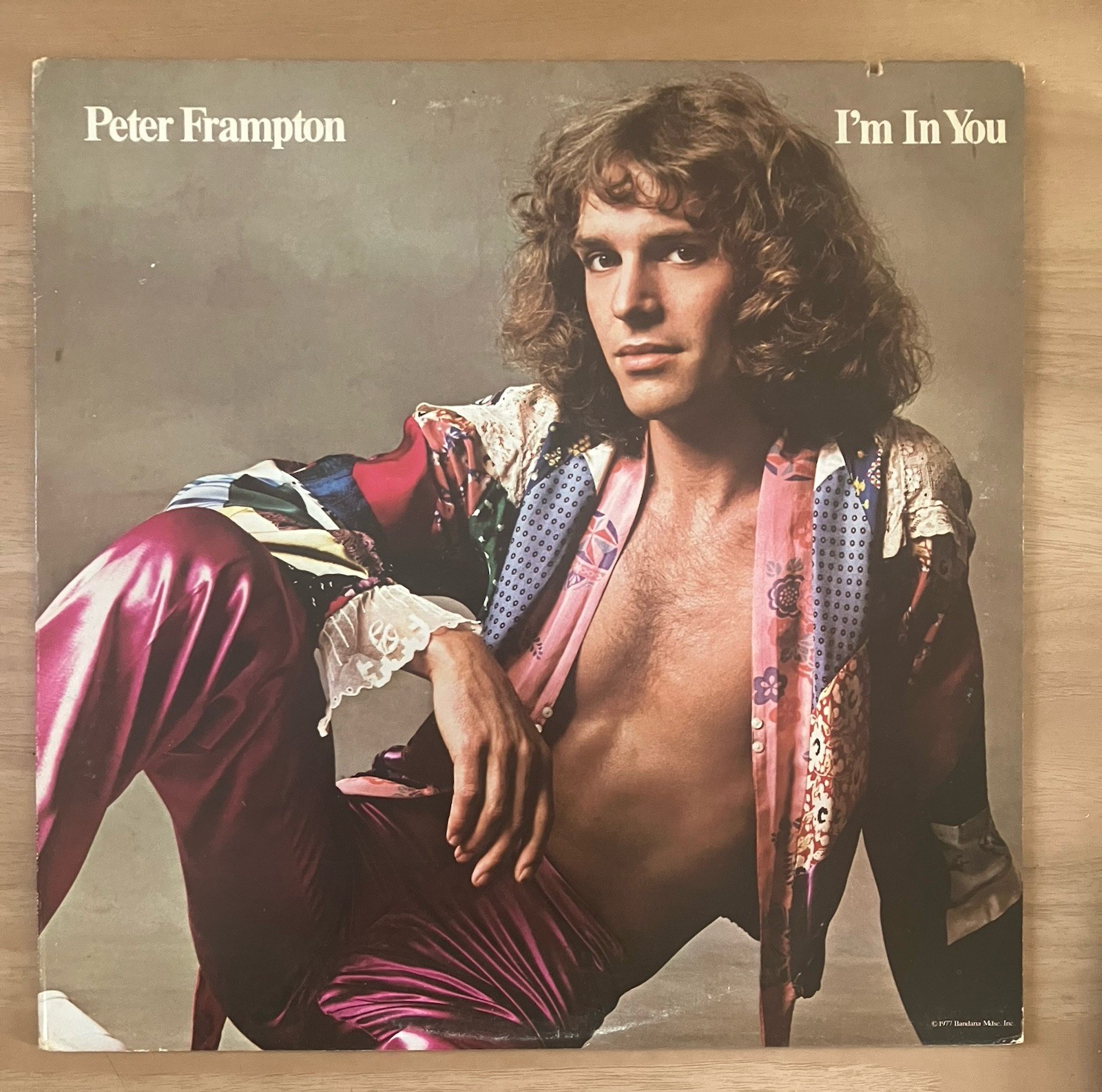 Peter Frampton I'm In You Vinyl LP 1977 A&M First Pressing Clean Copy VG