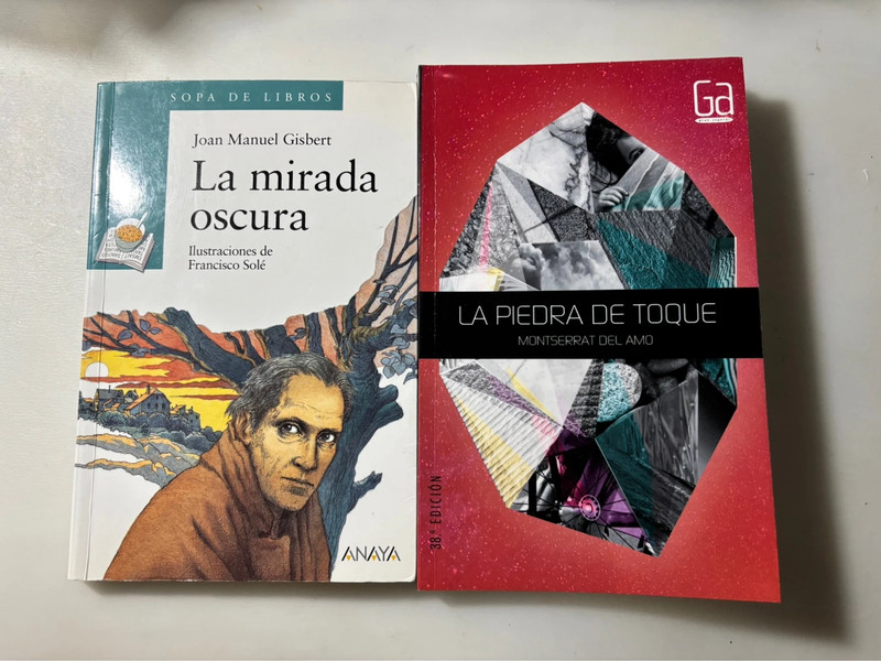 Pack libros La piedra de toque y La mirada oscura