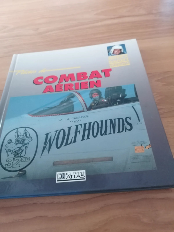 Pilotes de combat aerien