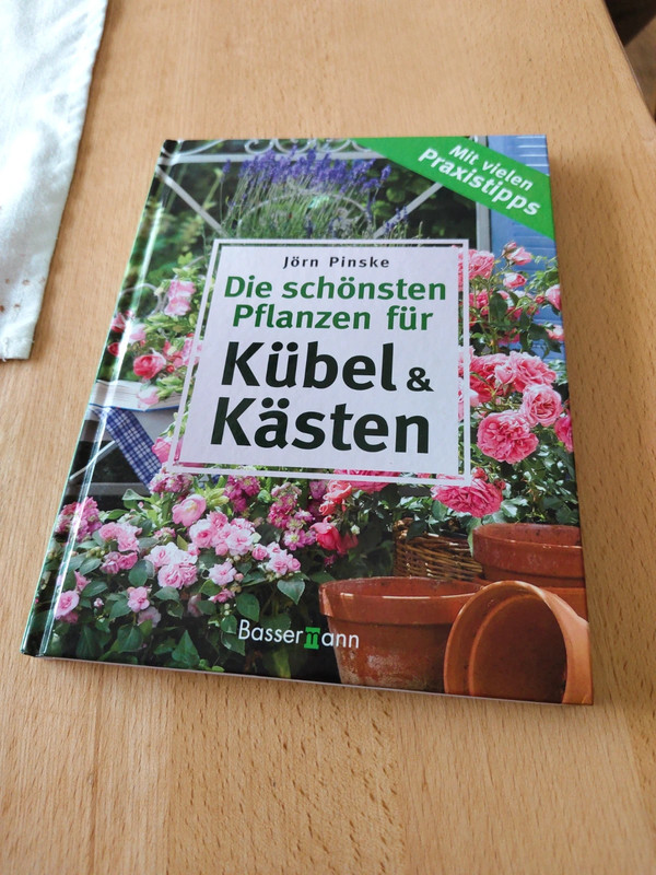 Die schönsten Pflanzen für Kübel & Kästen