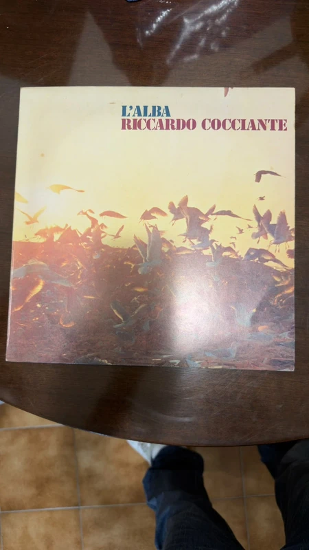 Riccardo Cocciante L'Alba LP Vinile 1975 - Gabbiani copertina al tramonto