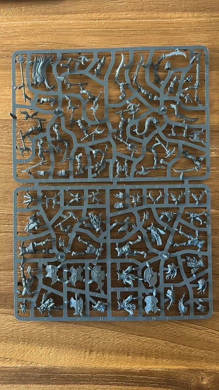 Warhammer aos Kairic Acolytes