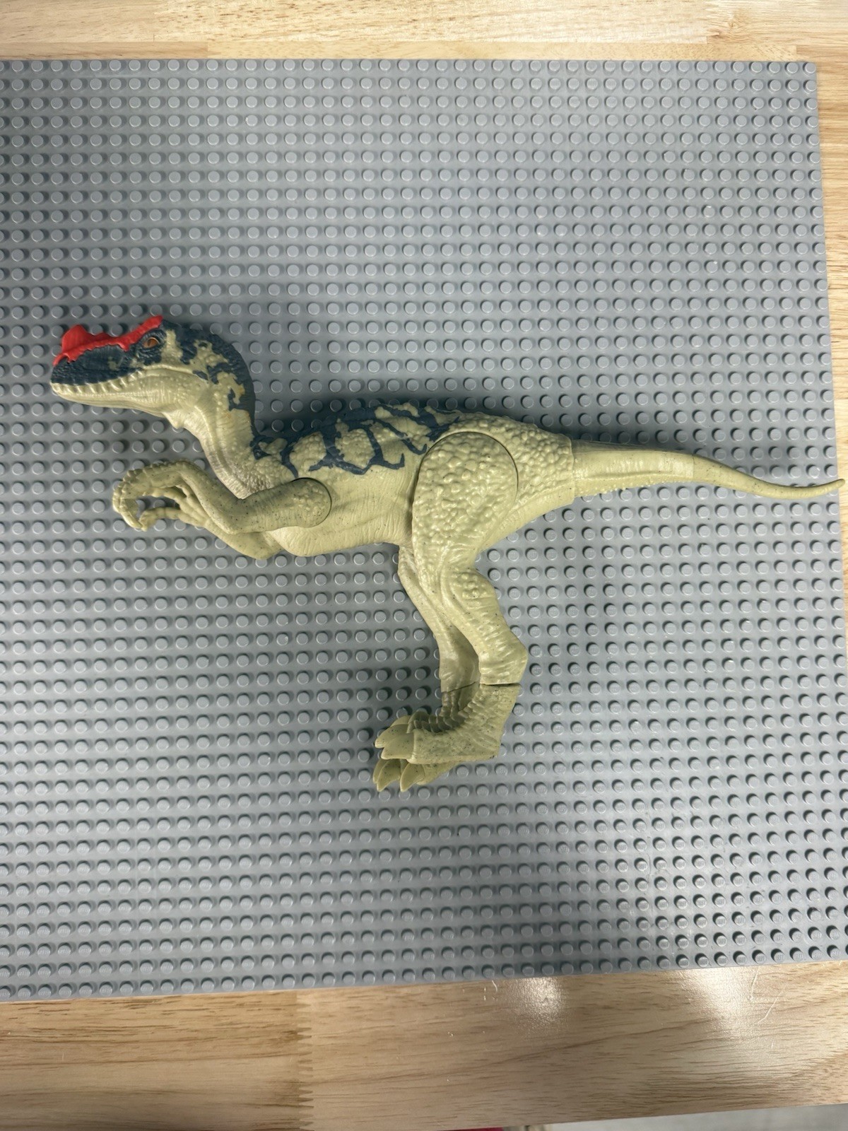 Dinosauro Jurassic World Pachycephalosaurus testa di ariete 