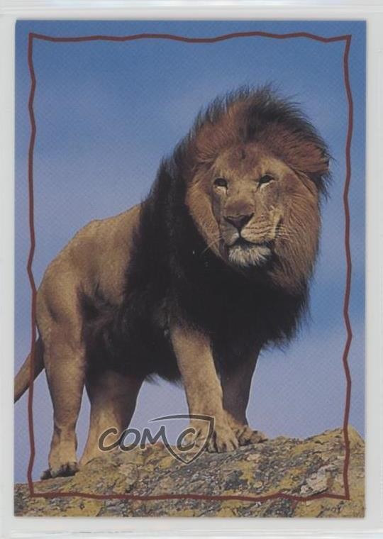 1994 SkyBox Il Re Leone: Serie 2 Carte Curiosità Animali Il Leone #157 0d8