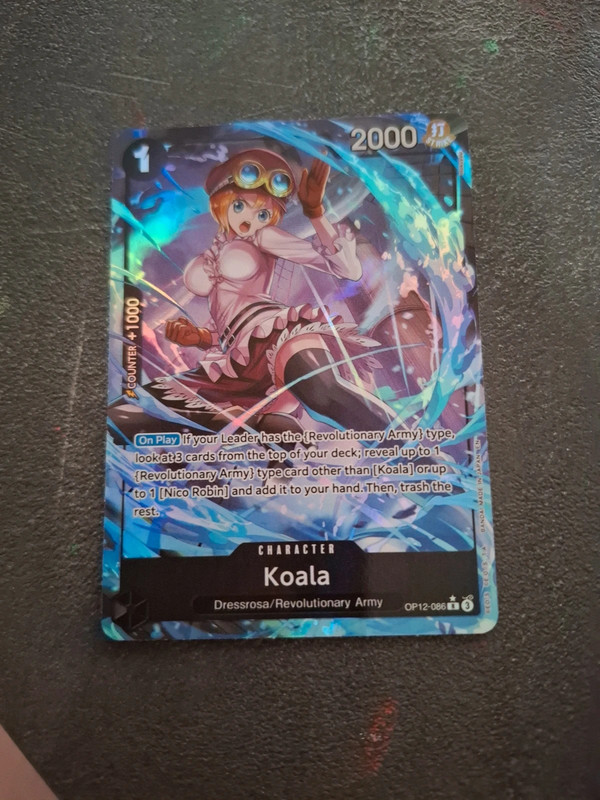 Koala