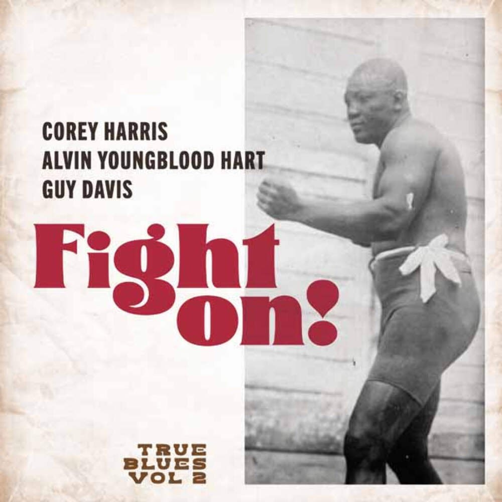 True Blues - Fight On! - Blues - Music Vinyl LP