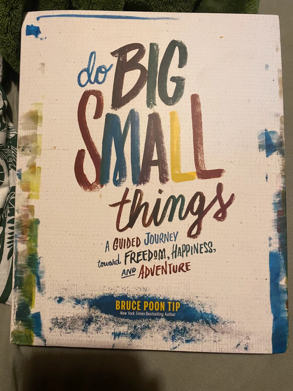 Buch "Do big small things"