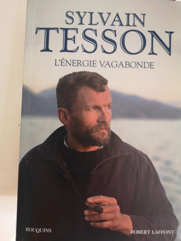 L'énergie vagabonde