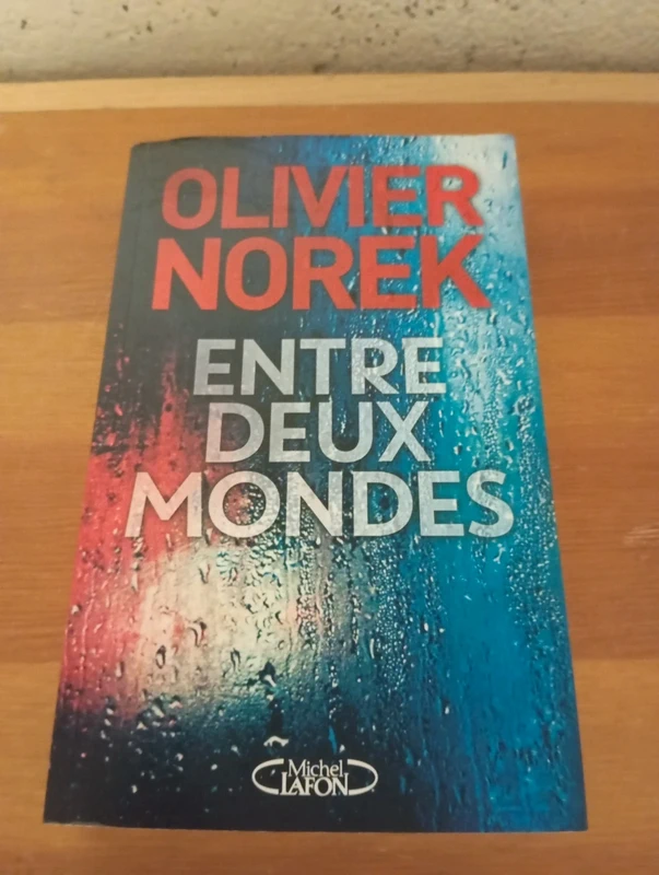Livre Entre deux mondes  - Olivier Norek Éditions Michel Lafon