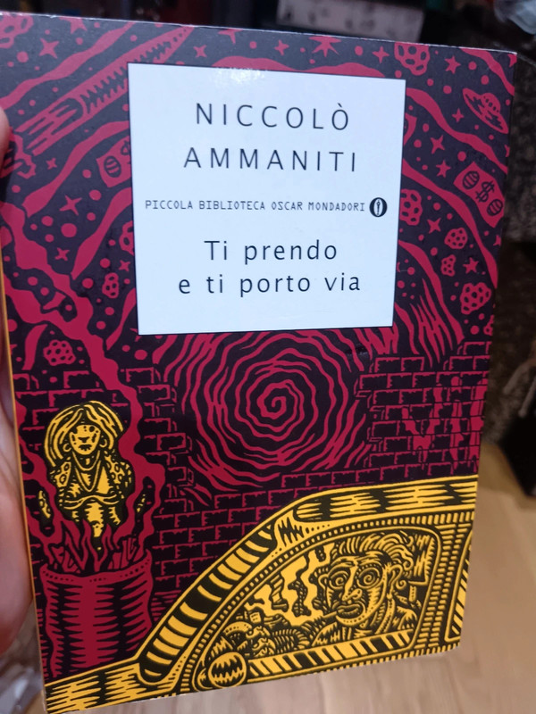 Libro di Niccolò Ammaniti - Ti prendo e ti porto via (Mondadori)