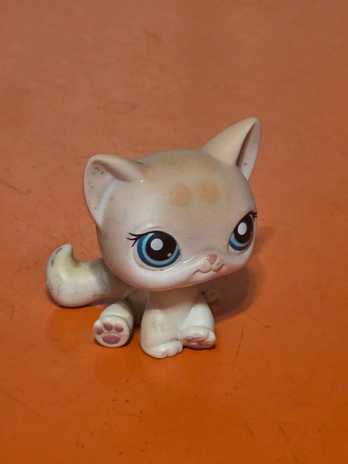 Littlest Pet Shop 224 bianco marrone maculato leopardo seduto gatto occhi di acqua