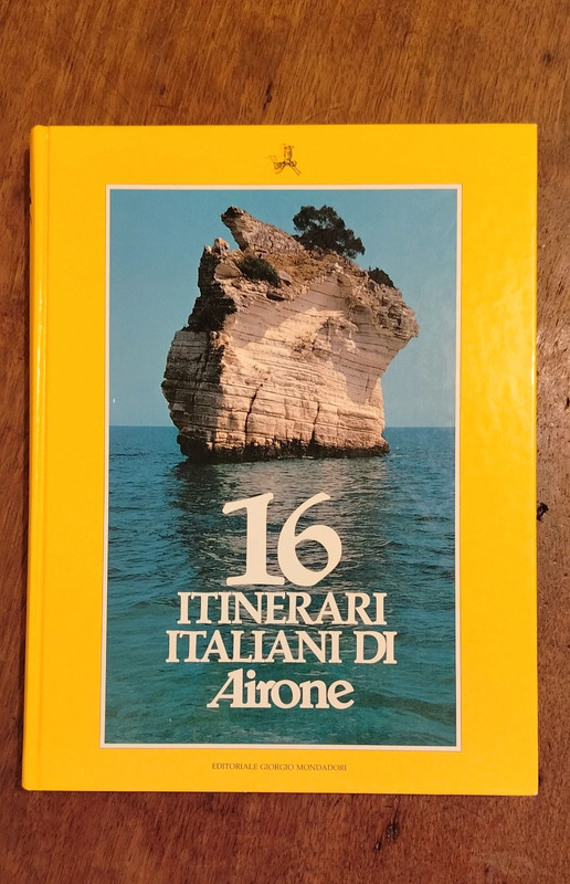 Airone, ottime condizioni