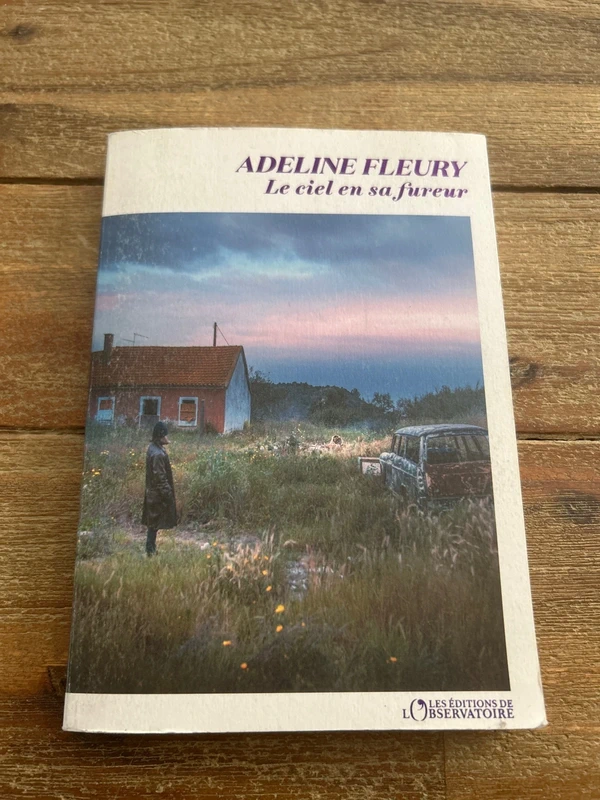 Livre le ciel et sa fureur
