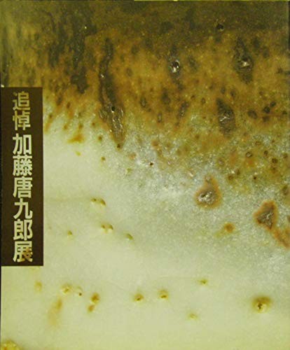Modulo libro esposizione Kato ToKuro usato JP