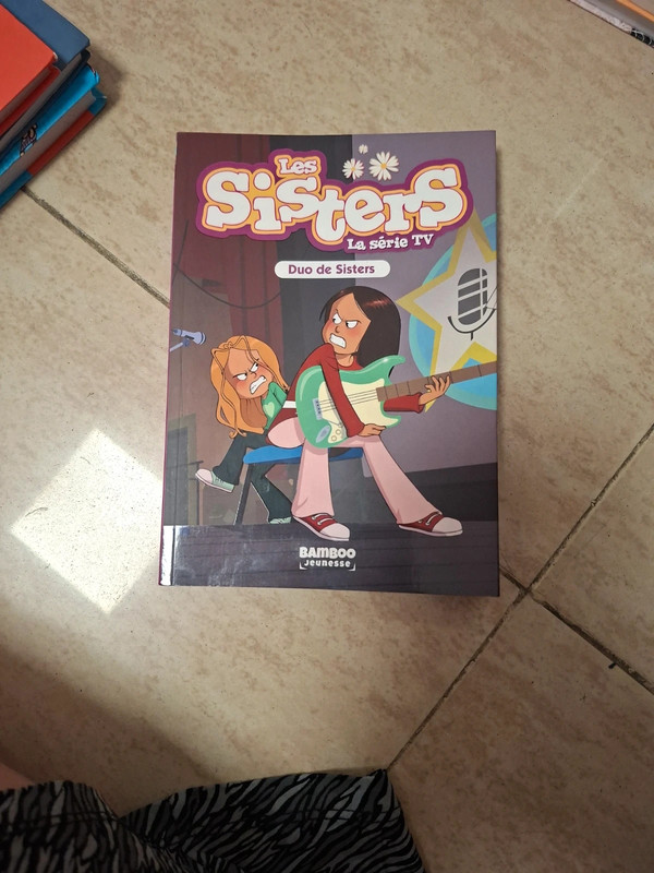 Les Sisters, duo de Sisters, la série TV