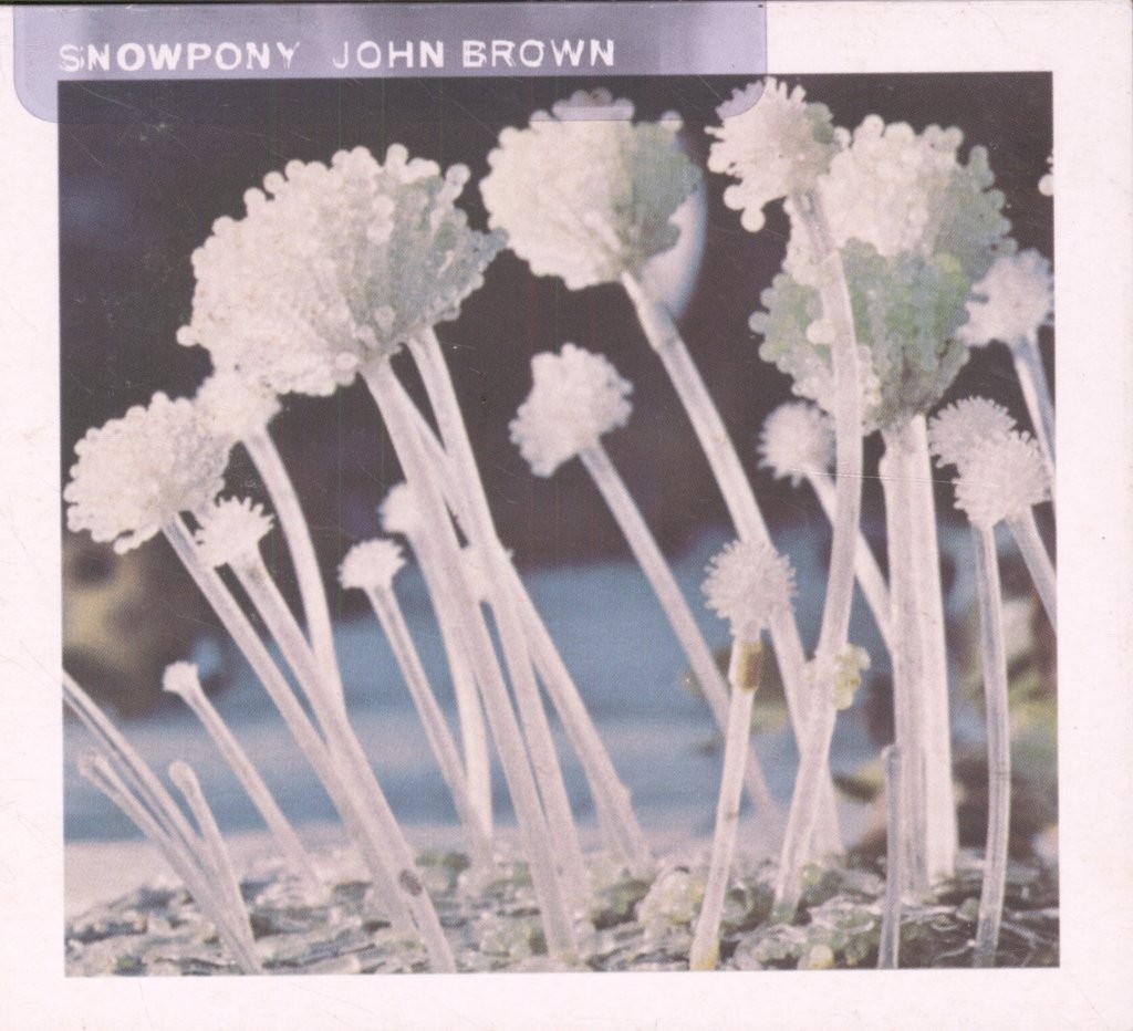 Snowpony John Brown CD UK Radioactive 1998 Single RAXTD34