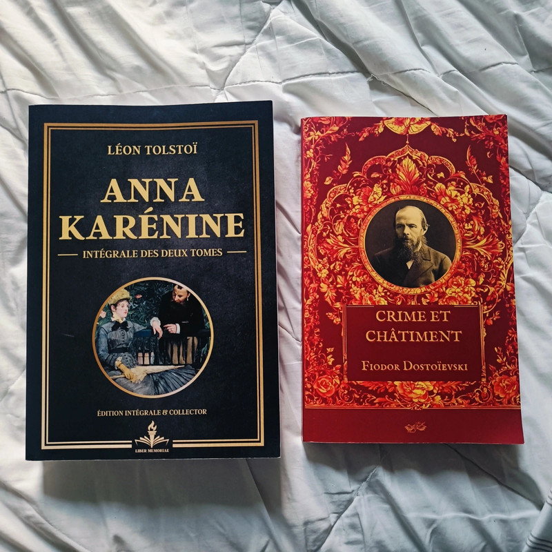 Lot Crimes et châtiments / Anna Karénine