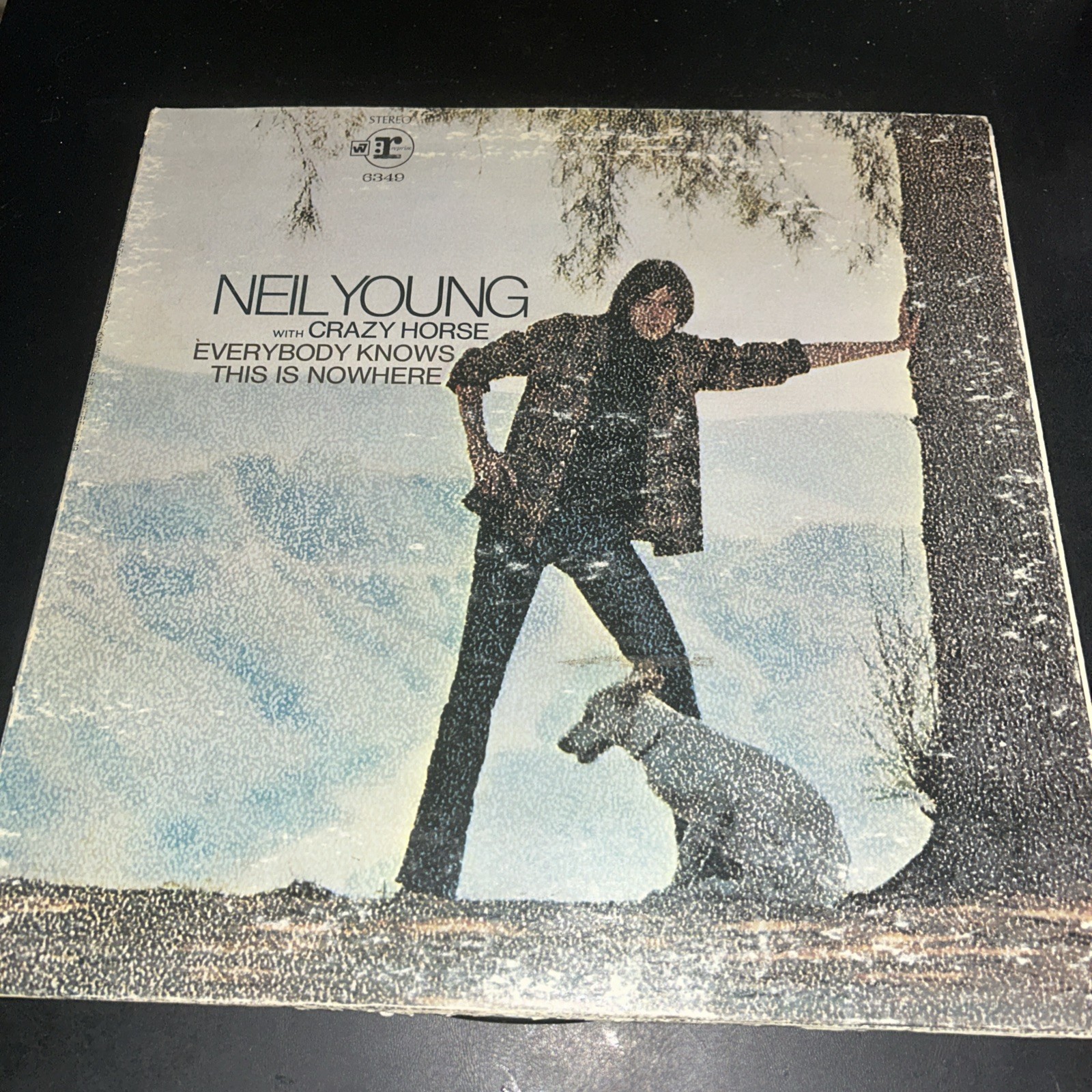 Neil Young With Crazy Horse - Everybody Knows This Is Nowhere/12" Vinyl/Rock/