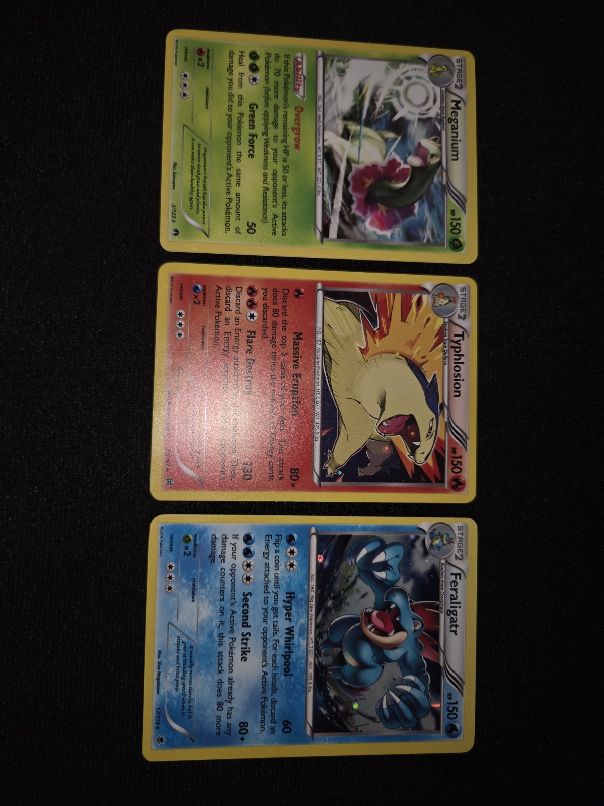 Lotto Pokemon Tg: Meganium Feraligatr Typhlosion Holo